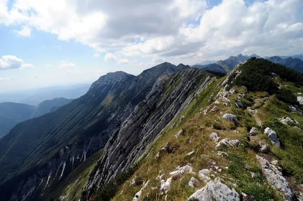 Vogel Slovenya Julian Aply