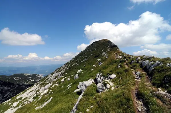 Vogel Slovenya Julian Aply