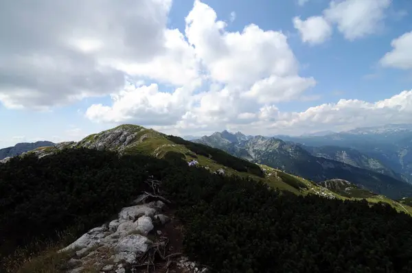 Vogel Slovenya Julian Aply