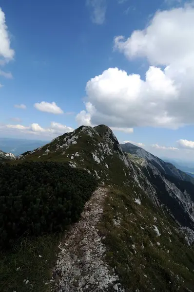 Vogel Slovenya Julian Aply