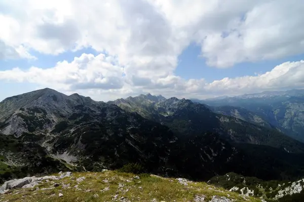 Vogel Slovenya Julian Aply