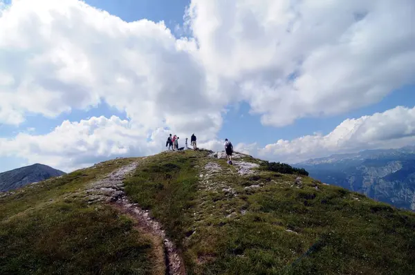 Vogel Slovenya Julian Aply