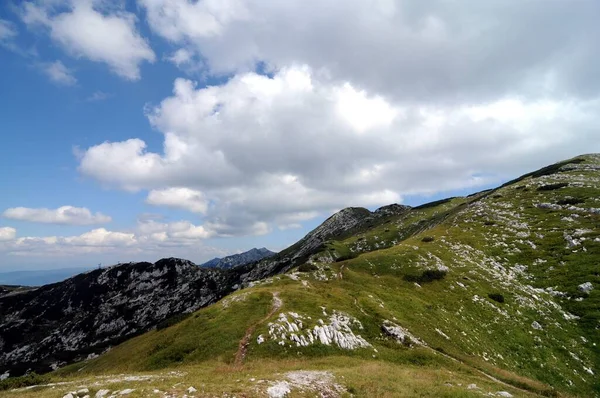 Vogel Slovenya Julian Aply