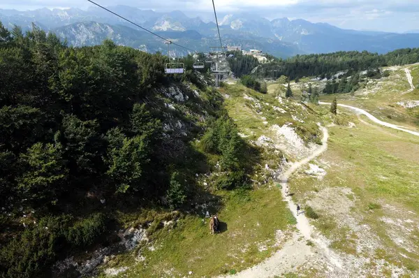 Vogel Slovenya Julian Aply