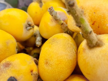 Loquat taze meyve veya Japon medarı sarı arka plan