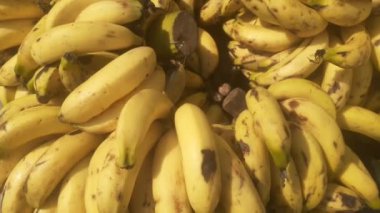 Muzlar markette toplanıyor. Yakın görünüm