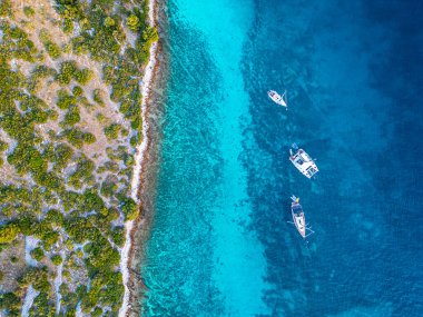 Yelkenli ve katamaran mavi turkuaz su koyunda. Cennetin dayanak noktası. Hırvatistan 'ın yüksek kaliteli yelkenli gezisi