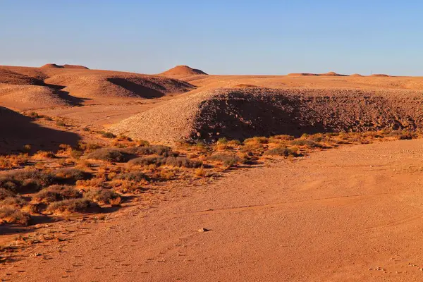 Desert landscape in the desert of Algeria