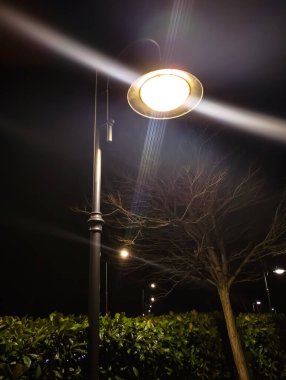 Bir sokak lambasının yakını kameraya yansıyor, alttaki görüntü. Ağaç dallarının arka planında yapraklar olmadan.