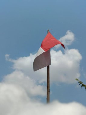 Gökyüzünde dalgalanan bir bayrak ve ön planda bir ağaç