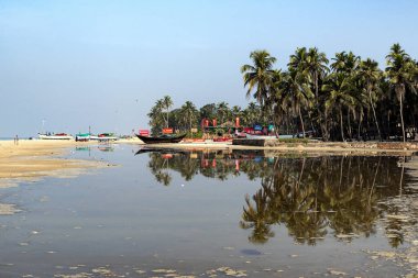 Goa, Hindistan 'daki Colva Sahili' nden sakin bir sahil sahili dalgalı palmiye ağaçlarıyla kaplı geniş kumlu bir kıyı şeridi sergiliyor. Sakin bir gelgit havuzu yeşilliği ve gökyüzünü yansıtırken, yakınlardaki balıkçı tekneleri açık mavi bir gökyüzünün altında demirli..