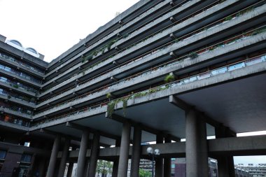 Bir sürü bitkinin büyüdüğü bir bina.