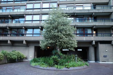 Binanın önündeki dairesel bir saksının içindeki ağaç.