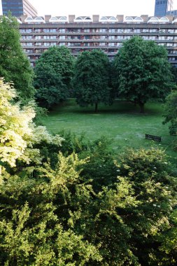 Arkasında bank ve bina olan bir park.