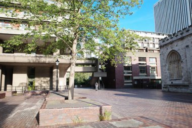 Arka planda bina olan bir avluda bir ağaç