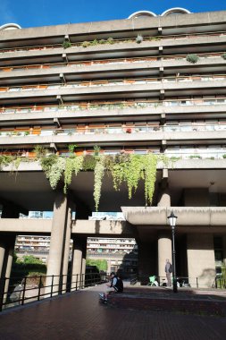 Bir sürü bitkinin büyüdüğü bir bina.