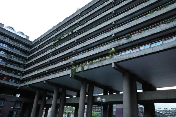 Bir sürü bitkinin büyüdüğü bir bina.