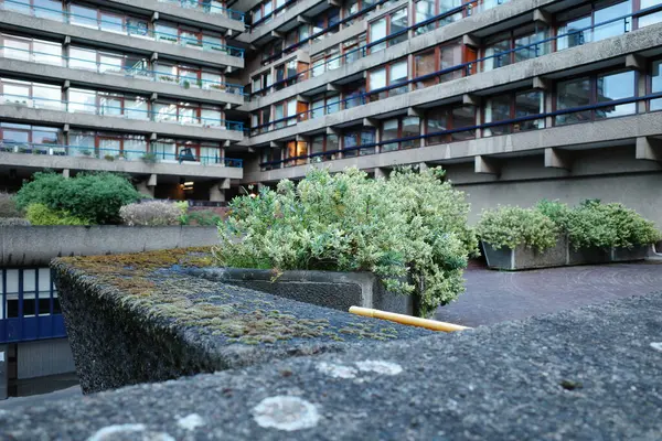 Bir binanın önündeki duvarda duran beyzbol sopası.