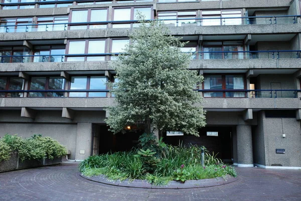 Binanın önündeki dairesel bir saksının içindeki ağaç.