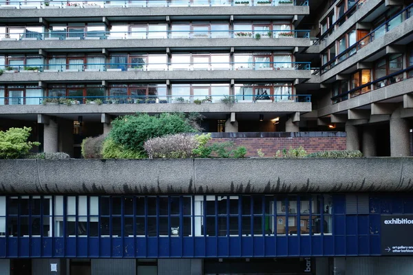 Çatıda yeşil bir saksı ve mavi kapısı olan bir bina.