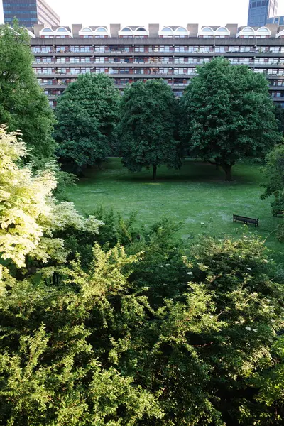 Arkasında bank ve bina olan bir park.