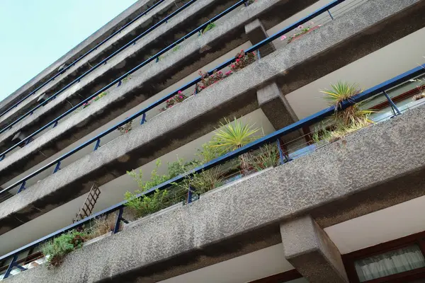 Balkonunda bir sürü bitki olan bir bina.