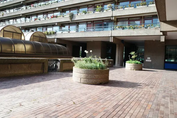 Yerde saksı olan bir bina.