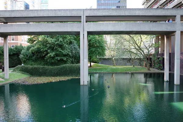 Köprünün altında yüzen ördekli bir gölet.