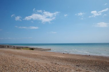 Mavi gökyüzü ve birkaç kuşu olan bir sahil.