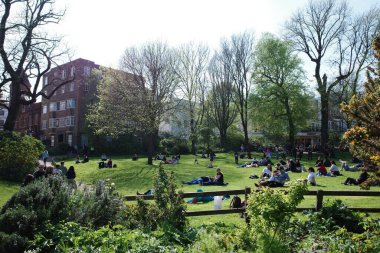 Çimlerin üzerinde insanların oturduğu bir park.