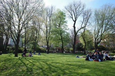 Bir grup insan yemyeşil bir alanda oturuyor.