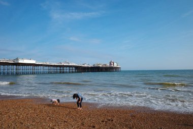 İki kişi ve bir köpek rıhtımın yakınındaki bir sahilde.