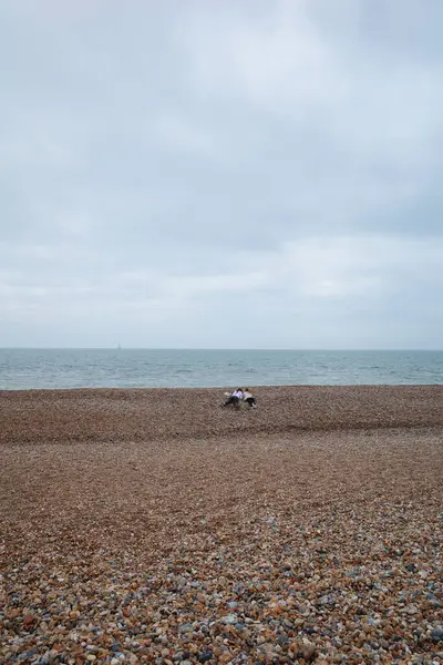 Sahilde sörf tahtasıyla oturan biri.