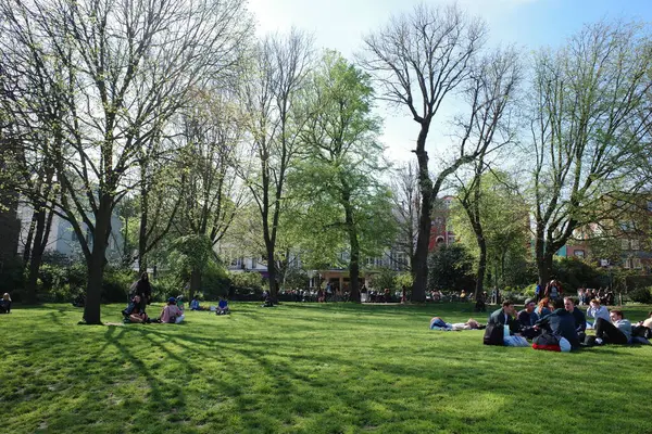 Bir grup insan yemyeşil bir alanda oturuyor.