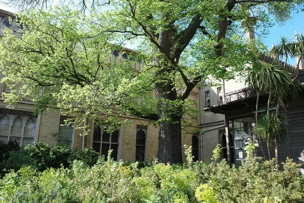 Binanın önünde büyük bir ağaç.