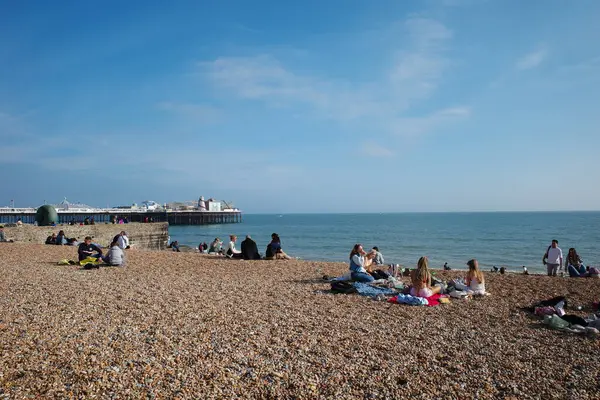 Okyanusun kıyısındaki sahilde oturan bir grup insan.