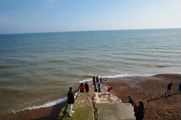 Okyanusun kıyısındaki sahilde duran bir grup insan.
