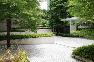 Ağacı ve bankı olan bir avlu.