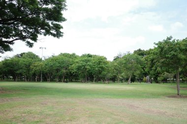 Havada birkaç ağaç ve frizbi olan bir park.