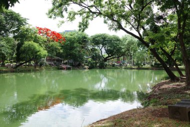 Arka planda ağaç ve bank olan bir gölet.