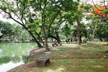 Bankı ve gölü olan bir park.