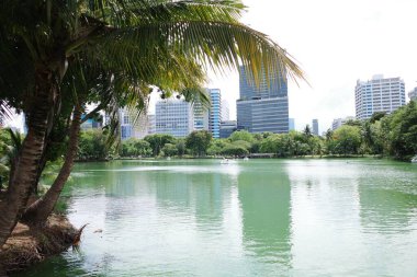 Ön planda palmiye ağacı olan bir göl.