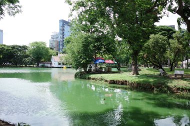 Göleti ve bankı olan bir park.