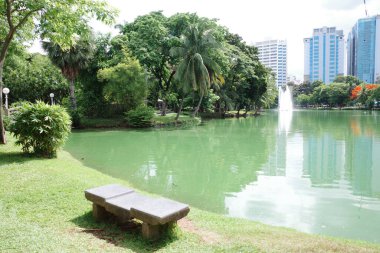 Gölün yakınındaki çimlerde oturan bir bank.