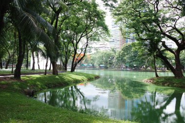 yemyeşil bir parkın içinden akan bir nehir