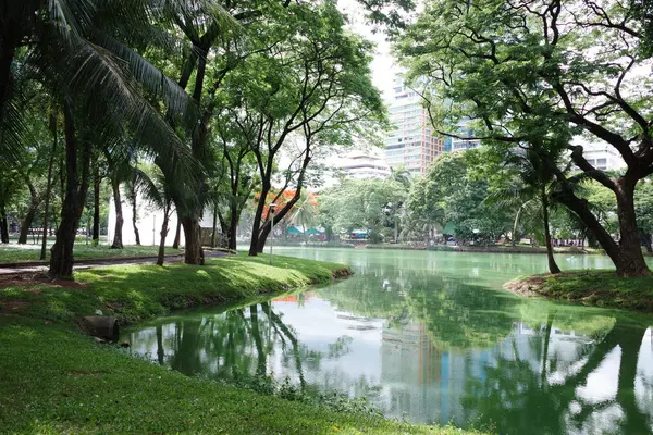 yemyeşil bir parkın içinden akan bir nehir