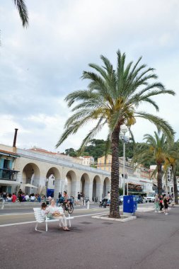 Şehir meydanında bir hurma ağacında, insanlar banklarda oturuyorlar.