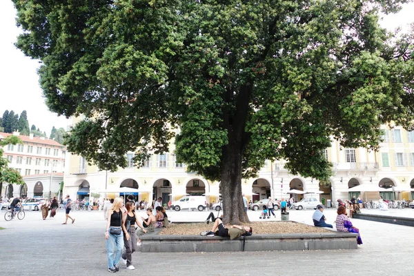 Bir grup insan ağacın altında oturuyor.