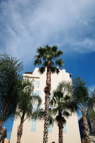 Önünde palmiye ağaçları olan yüksek bir bina.