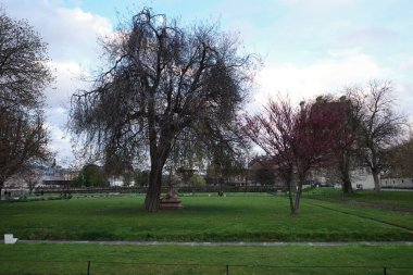 Uzakta saat kulesi olan bir park.